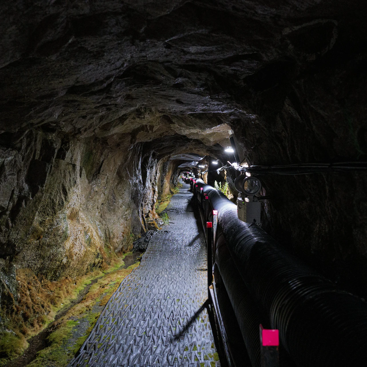 DMZ: Second Tunnel & Sky Bridge Full Day Guided Tour from Seoul in Seoul – Tiqets