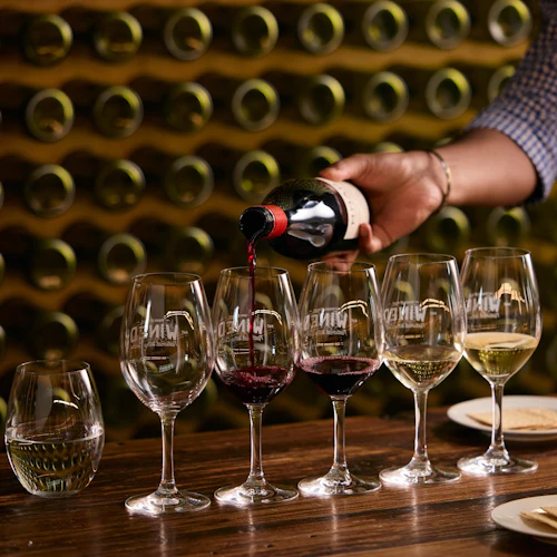 National Wine Centre of Australia: Guided Tour + Wine Masterclass & Tastings