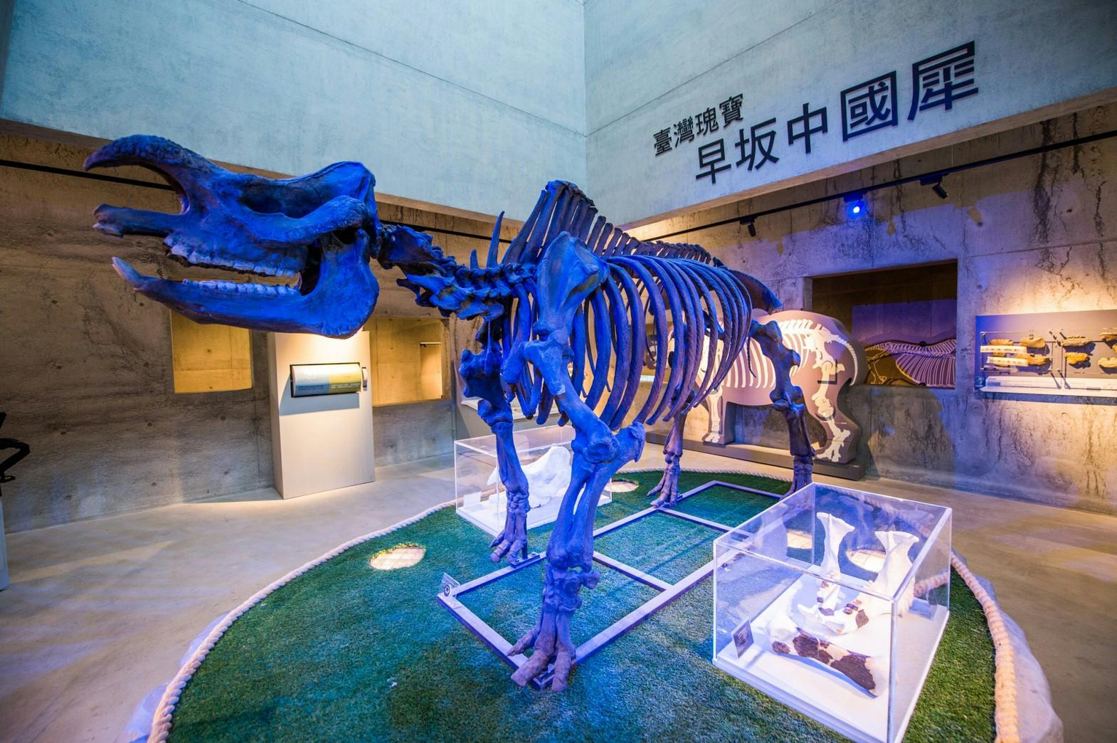 Tainan City Zuojhen Fossil Park: Entry Ticket