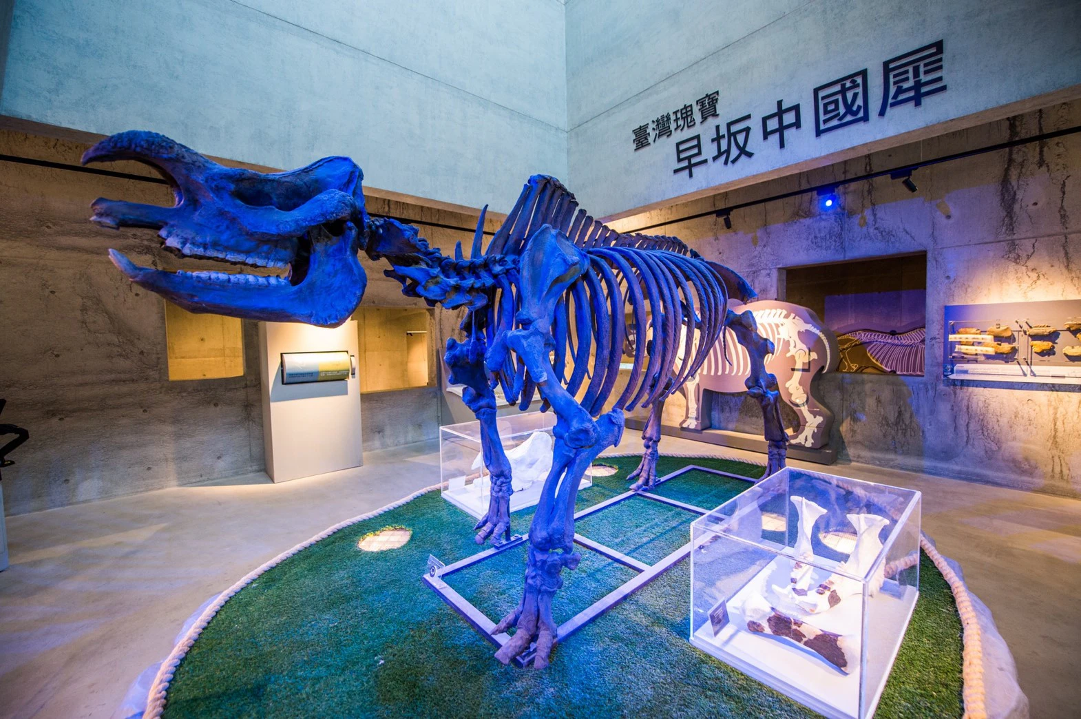 Tainan City Zuojhen Fossil Park: Entry Ticket
