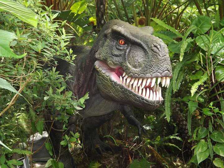 Have Fun in Okinawa Pass: 3 Facilities (Options: Churaumi Aquarium & DMM Aquarium)