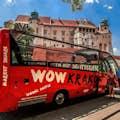 Vicino al Castello di Wawel