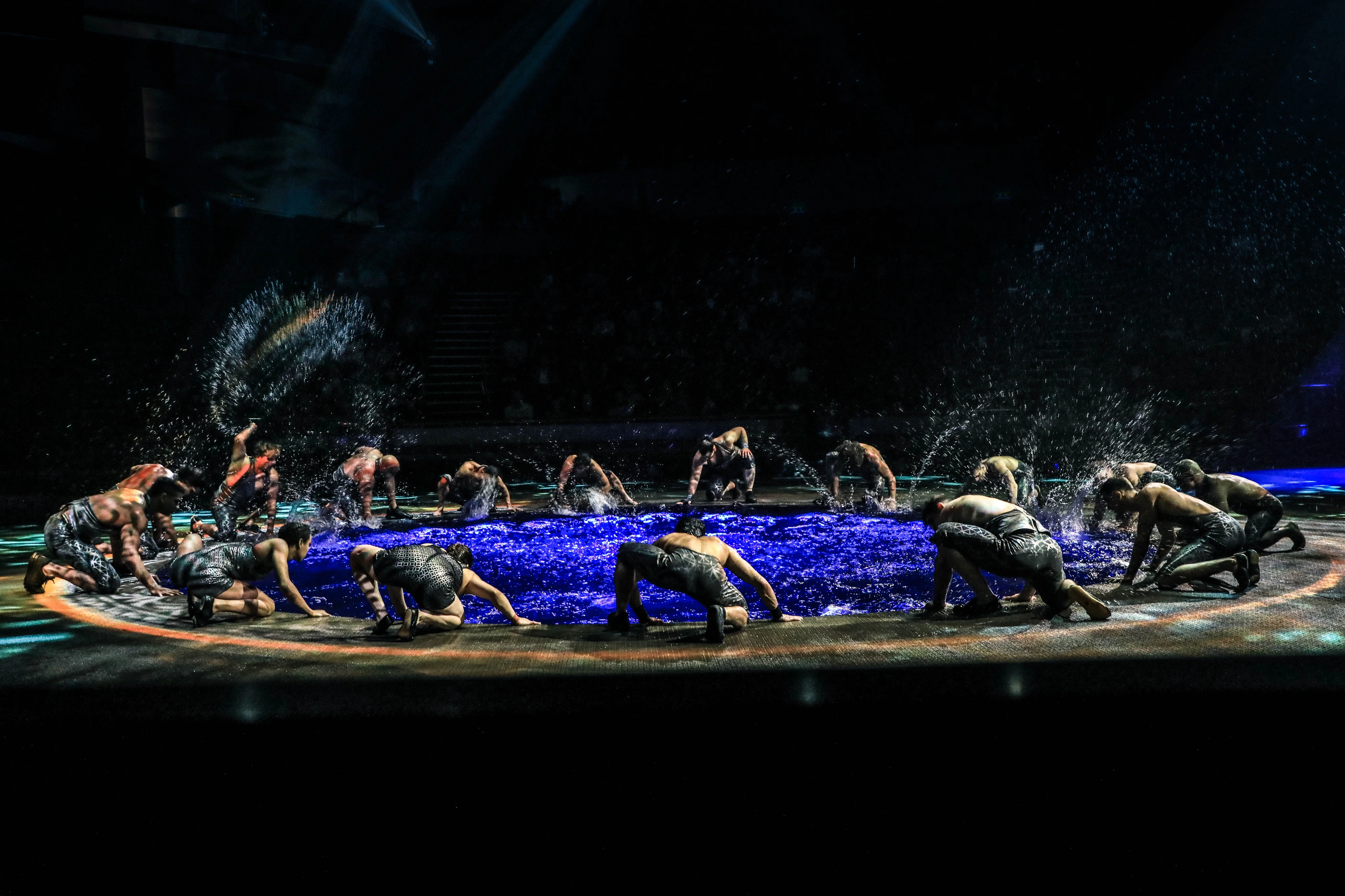 La Perle by Dragone, Dubai | Book Tickets, Tours & More