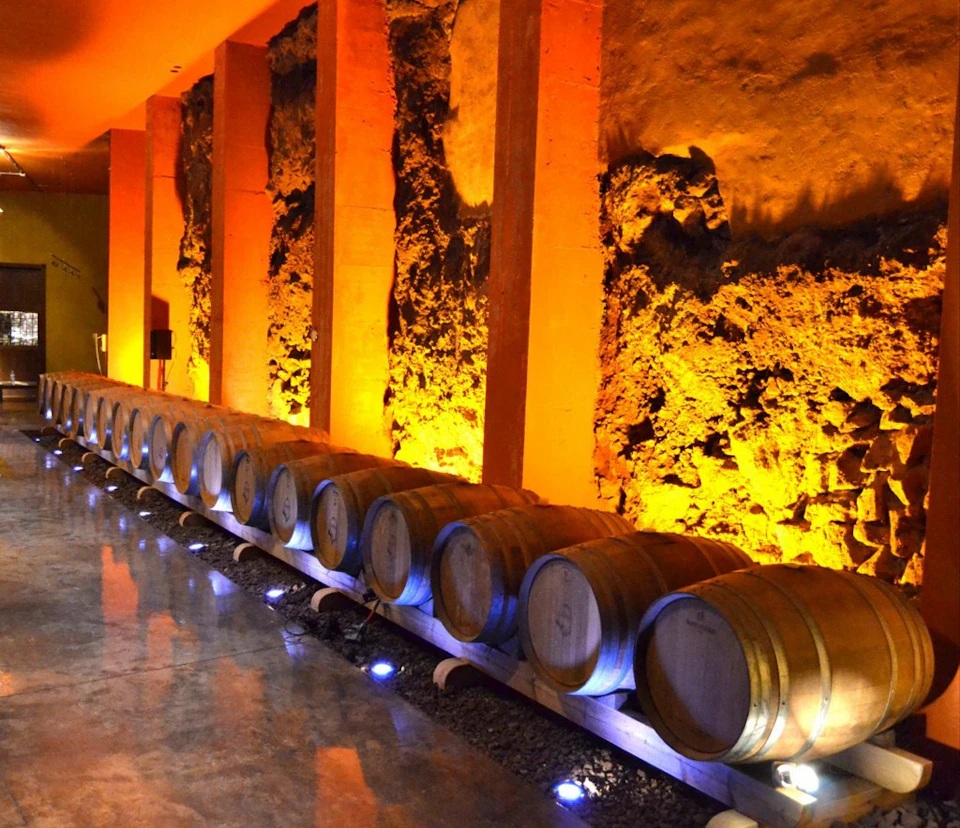 A row of wooden barrels lined up against a textured wall illuminated by warm, orange lighting in a wine cellar.