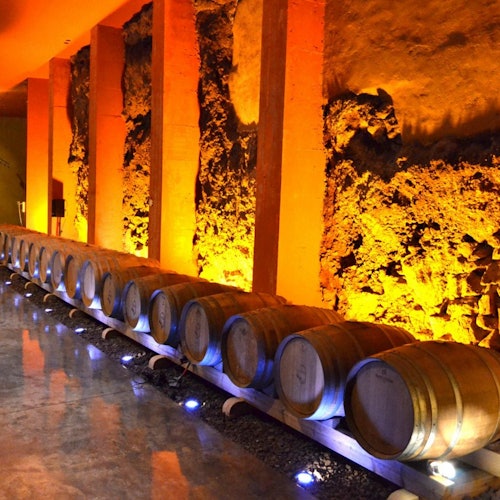 Bodegas Monje: Winery Visit & Wine Tasting