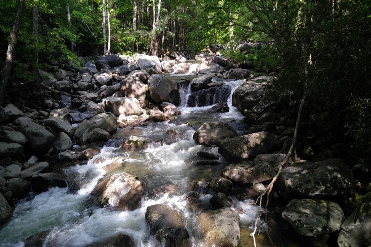 Atrakcje dla palaczy