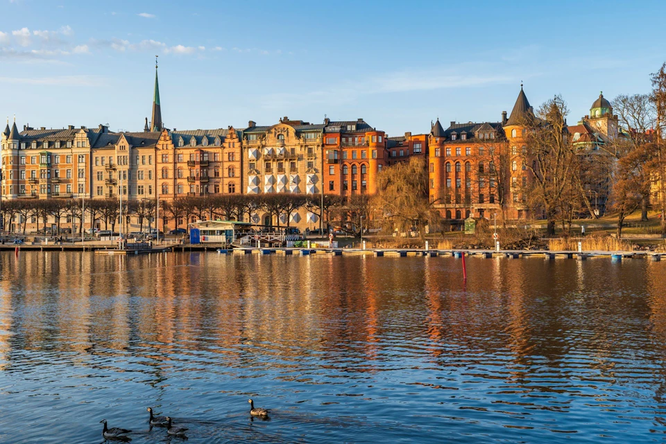 Colourful historic buildings along the waterfront, with ducks swimming in the calm water on a sunny day.