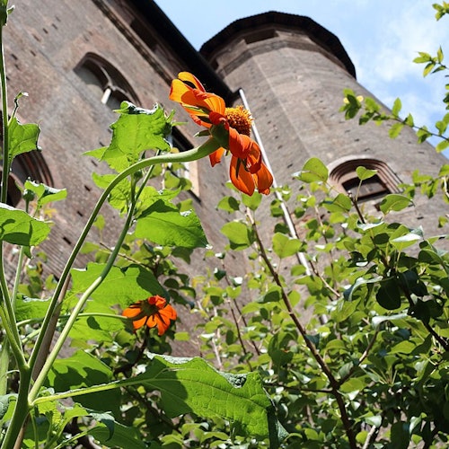 Tour Image 2