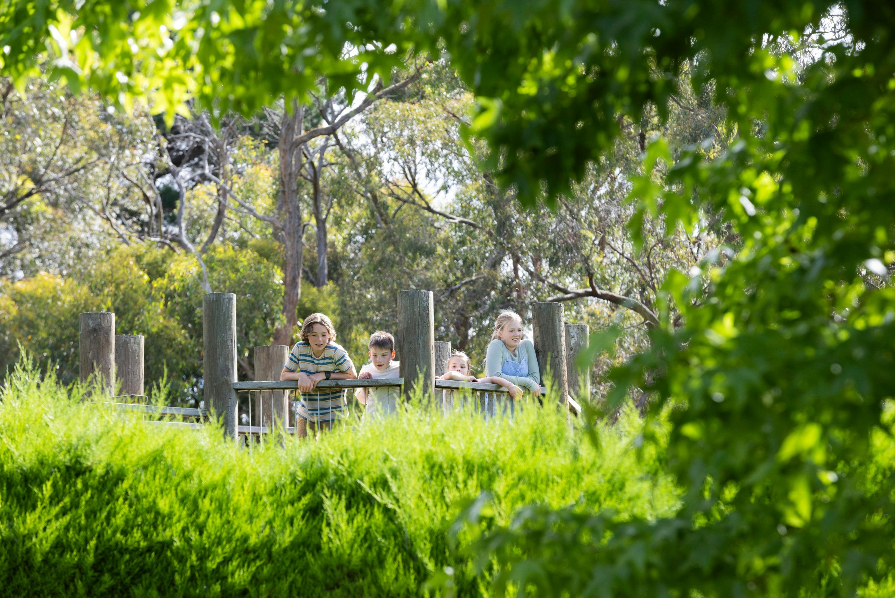 Děti se opírají o dřevěný plot ve svěžím zeleném parku s vysokými stromy a hustým listím v pozadí.
