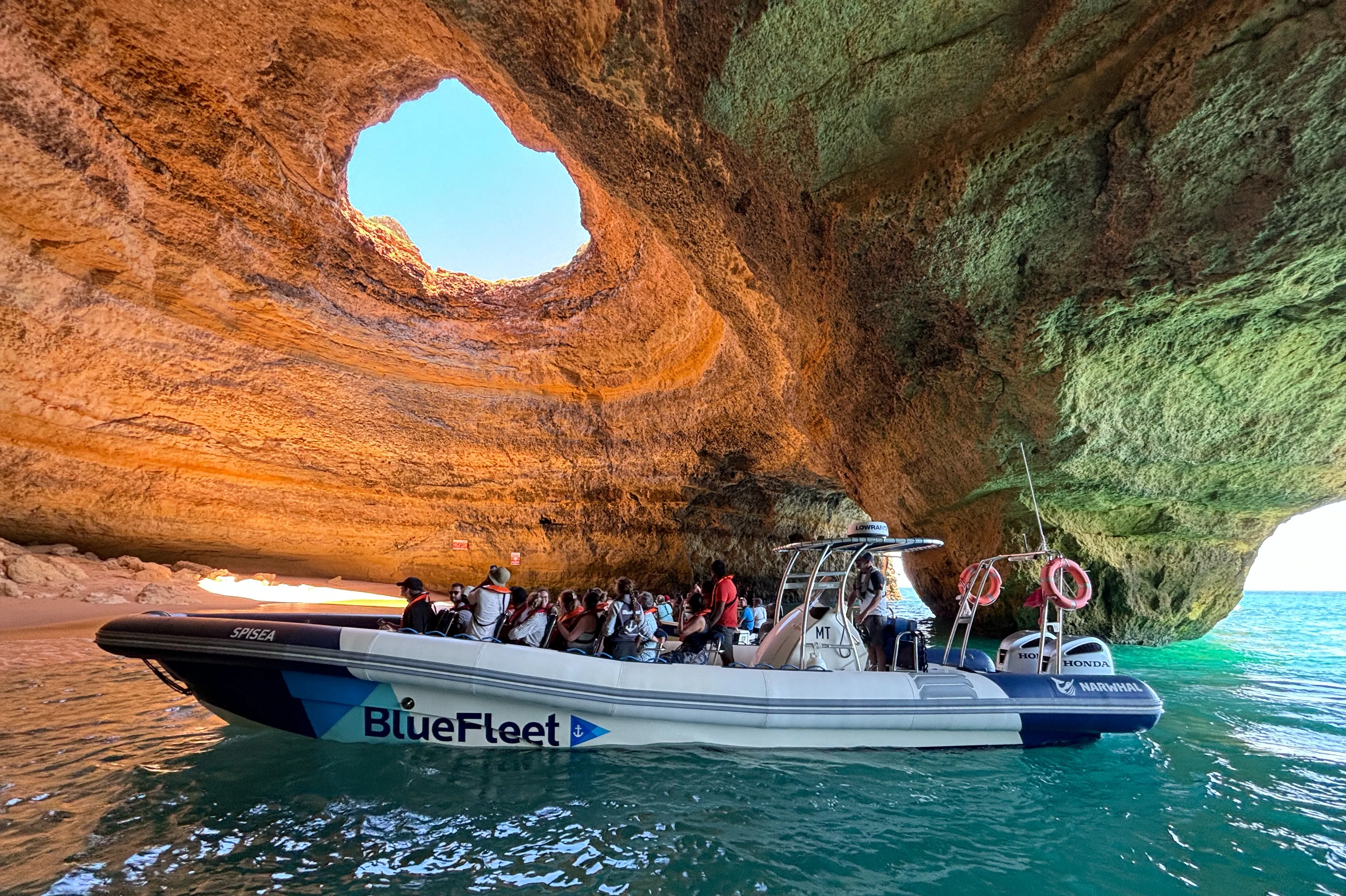 Escursioni, tour e gite da Lagos (Portogallo)