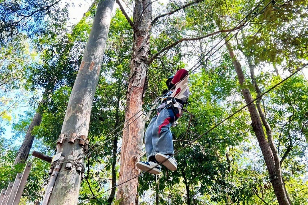 Treetops Adventure Central Coast: Ropes Course + Zipcoaster Ride in Wyong Creek – Tiqets