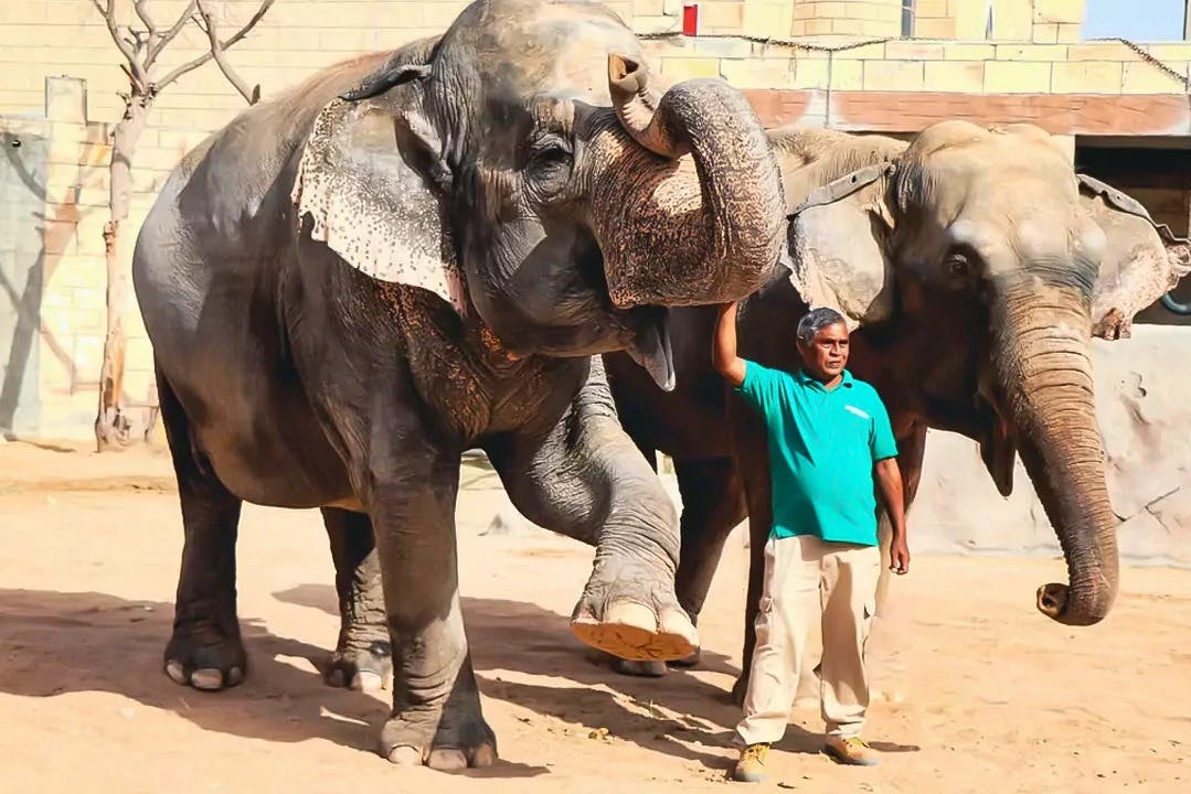エミレーツ・パーク動物園