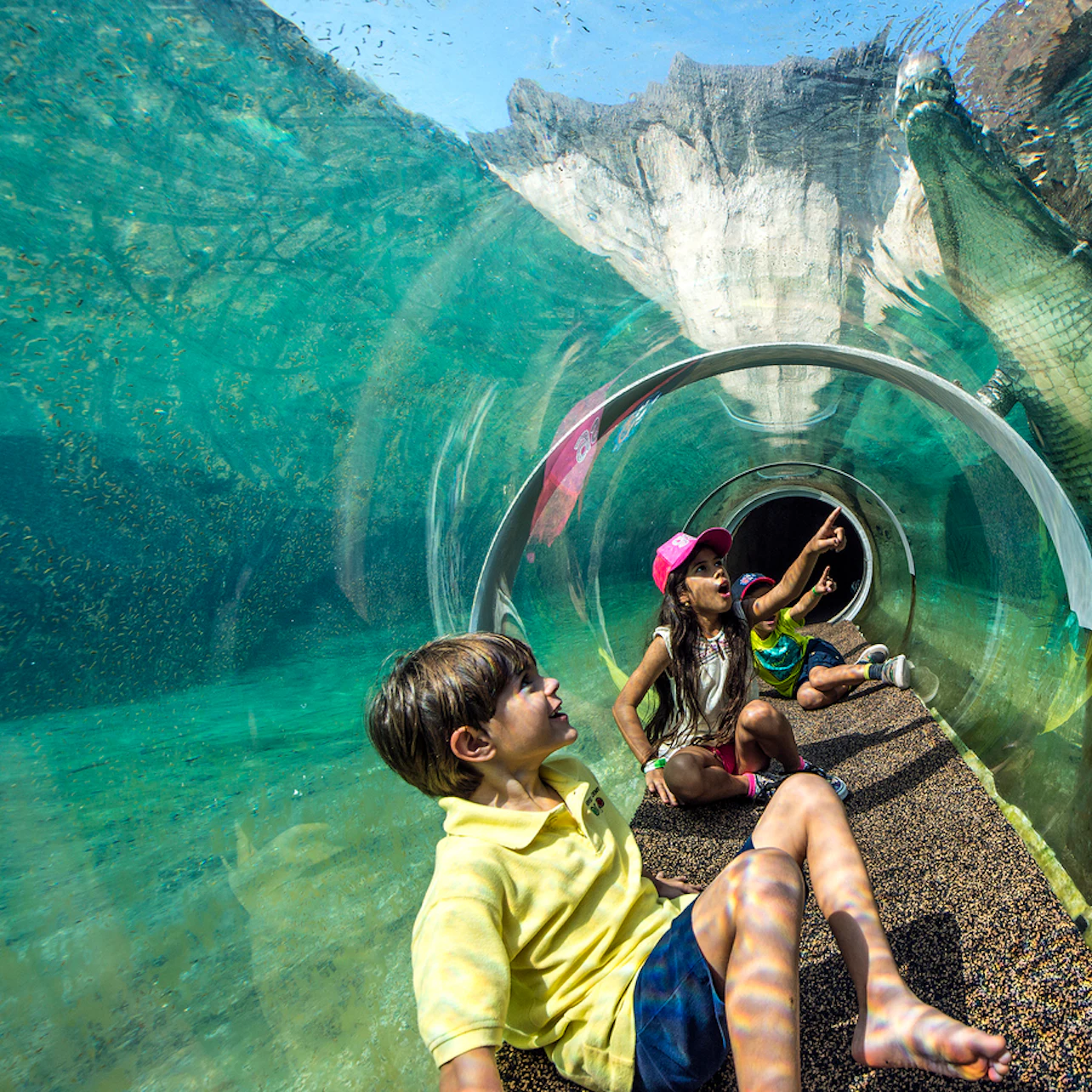 Zoo Miami: Skip The Line Ticket in Miami – Tiqets