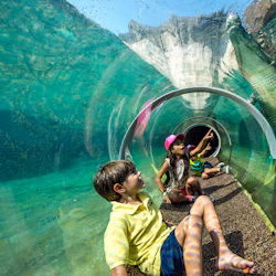 Zoo Miami: Skip The Line Ticket 4