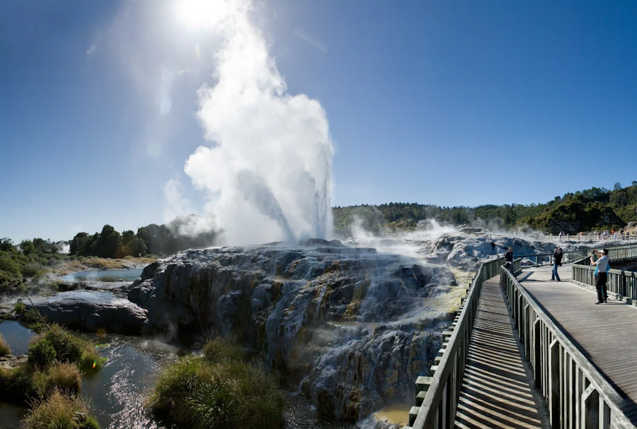Rotorua Te Puia Guided Tour + Haka Performance