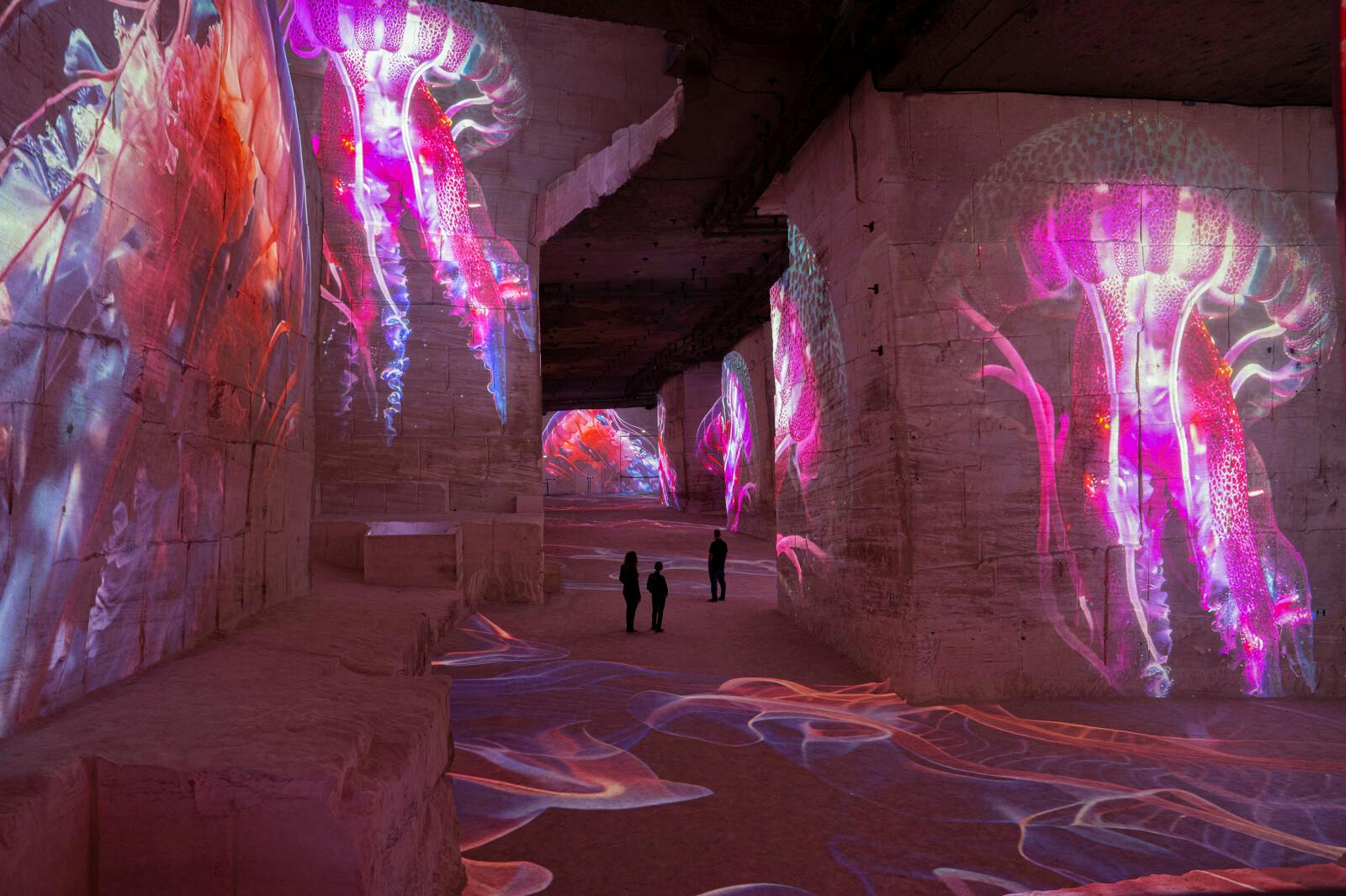 Carrières des Lumières : Ocean Exposition
