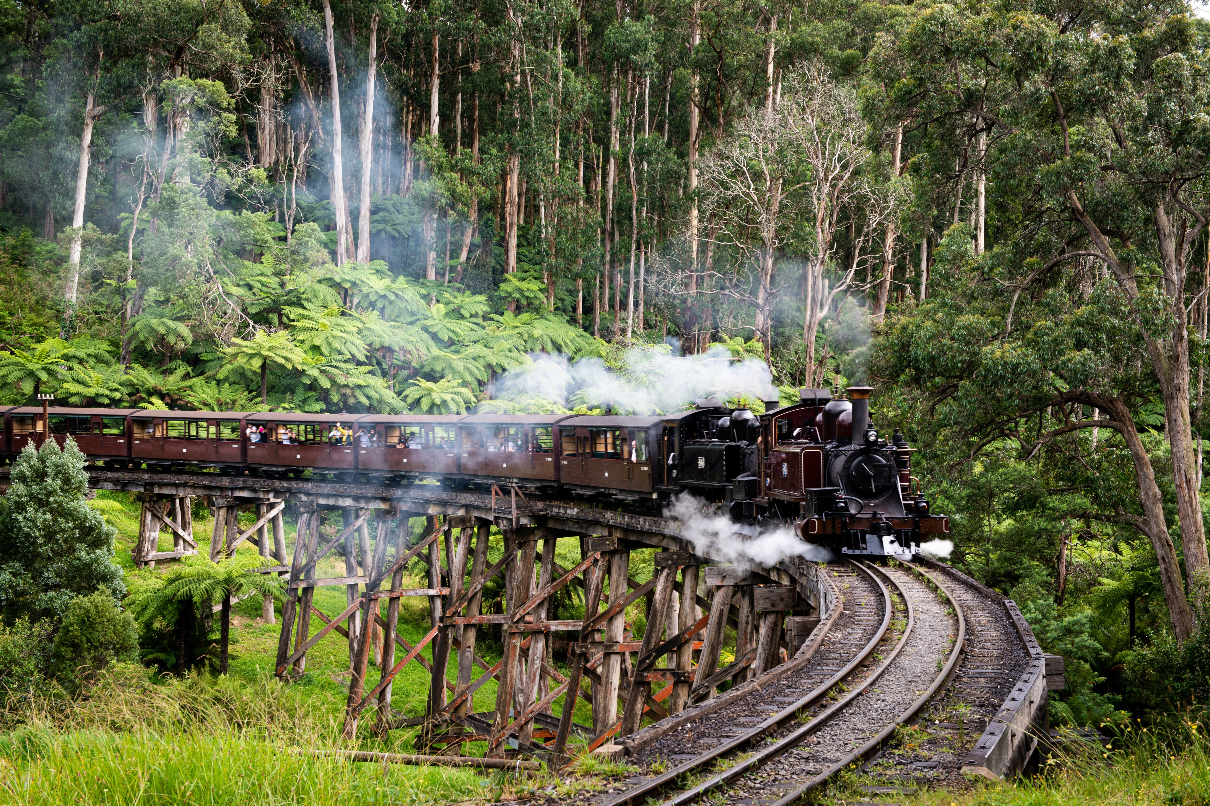 Puffing Billy Railway: Ride & Wildlife Tour + Transfers