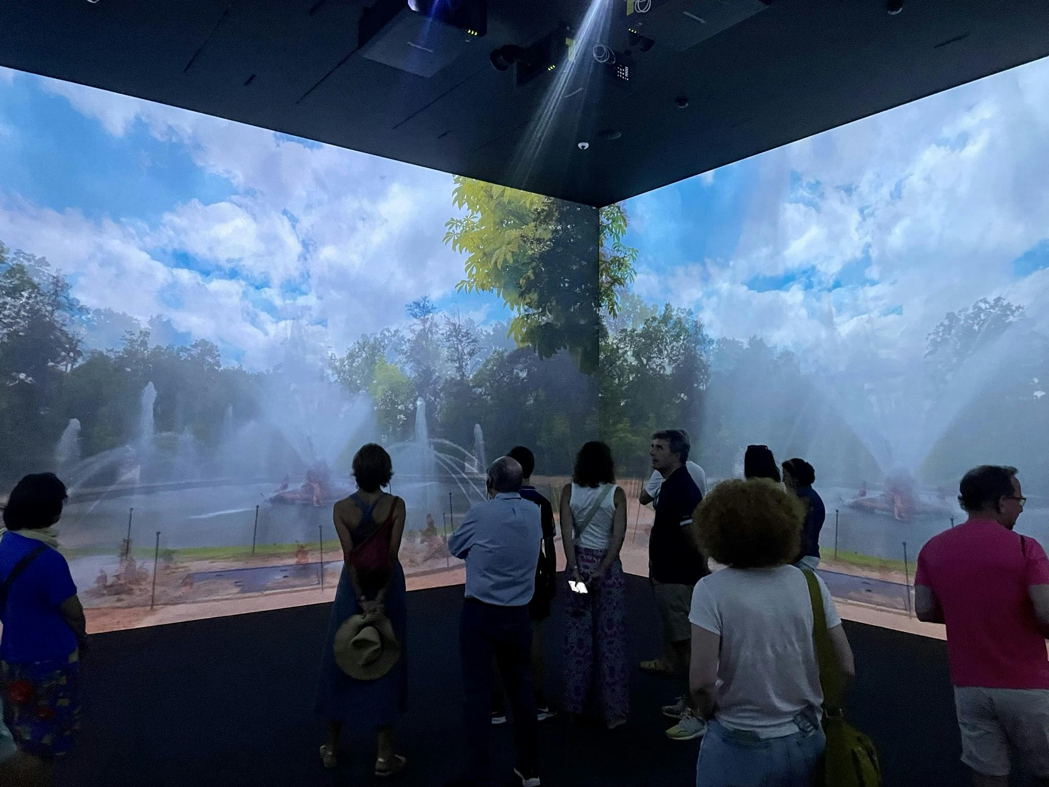 一群人正在室内观看公园的场景，墙上投射着喷泉和树木。