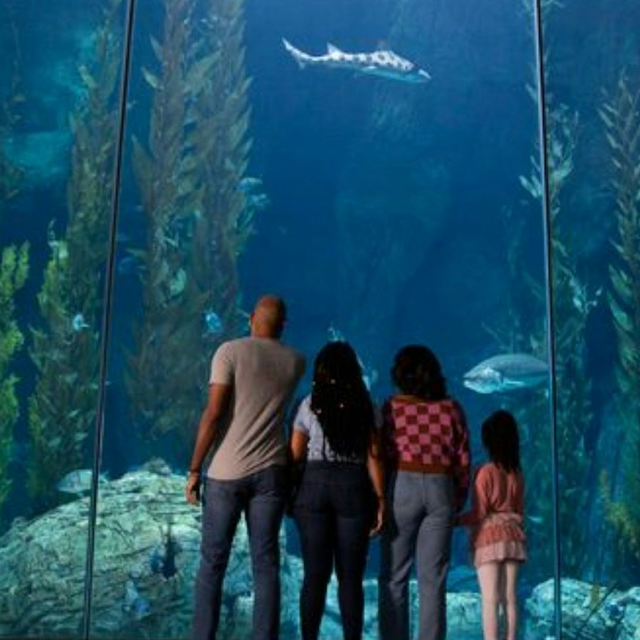 Aquarium of the Pacific: Salta la Coda - Alloggi in Los Angeles