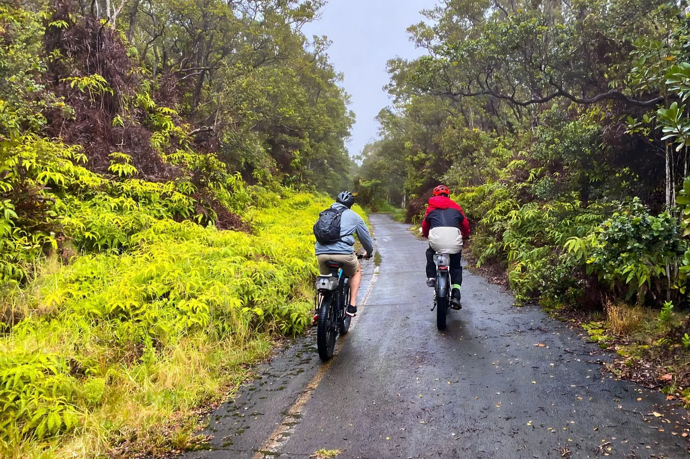 Day Trips and Tours from Big Island