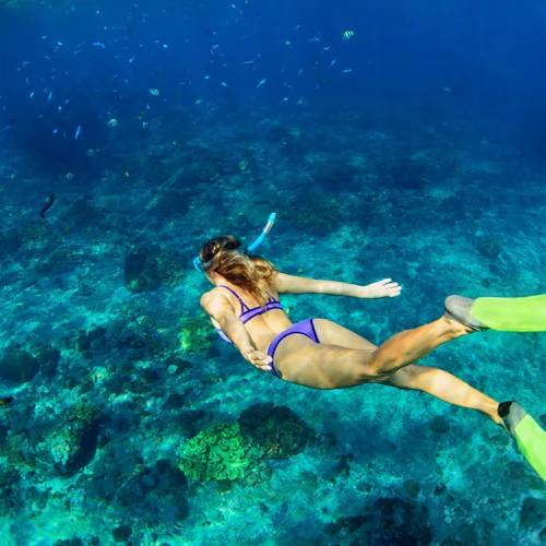 Padang Bai: Blue Lagoon & Tanjung Jepun Snorkeling with Lunch & Transfer - Photo 5