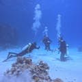 Ocean's Secret Diver