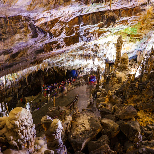 Caverna de Postojna e Castelo de Predjama: tour de meio dia desde Liubliana - Photo 3
