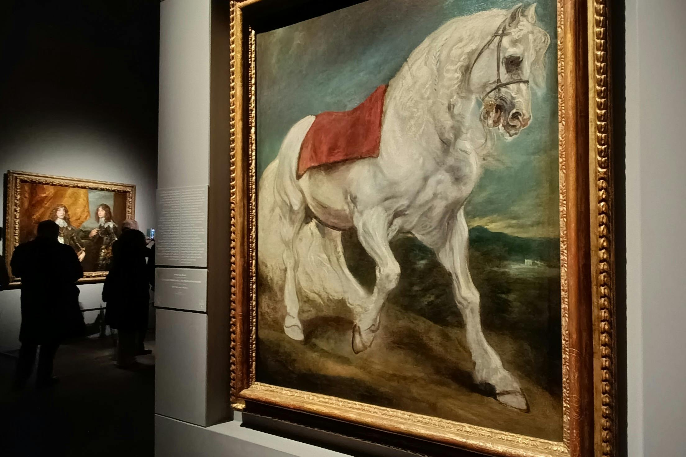 Palazzo Ducale Genova: Mostra Van Dyck L' Europeo — 3