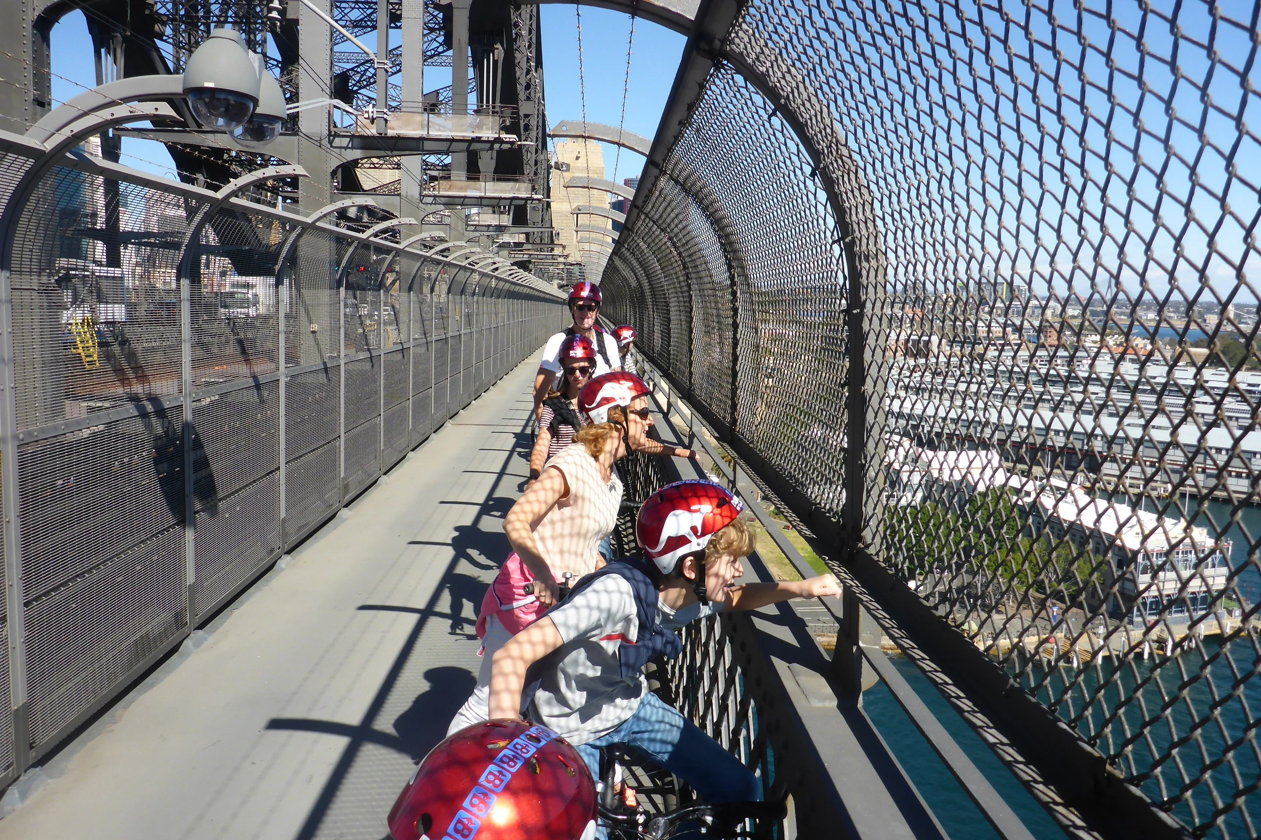 Sydney: Guided Bike Tour + Lunch