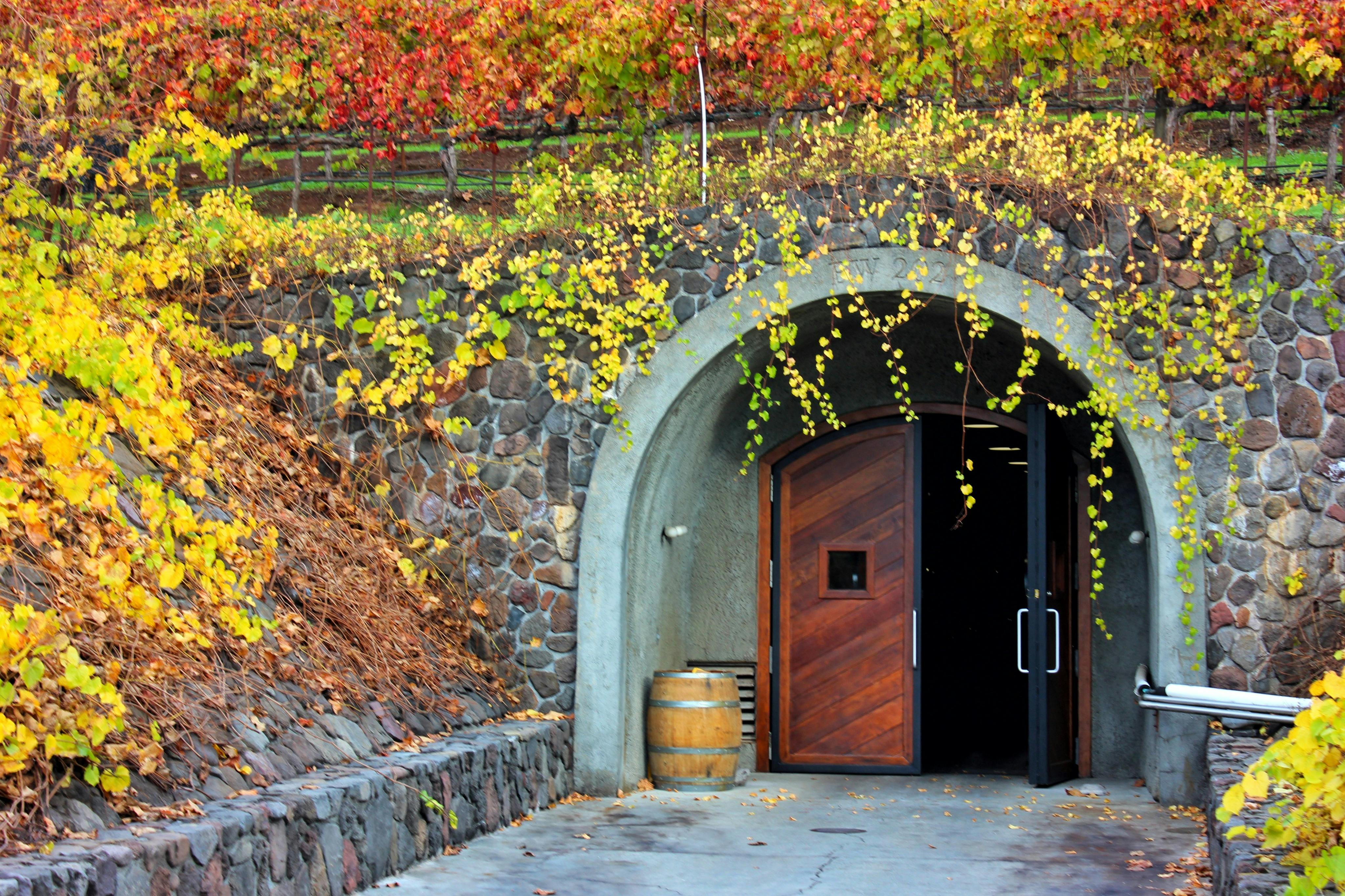 Celodenní výlet za vínem ze San Francisca