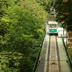 En grön och vit bergbana som går uppåt genom ett frodigt, grönt skogsområde, med två vagnar på parallella spår.