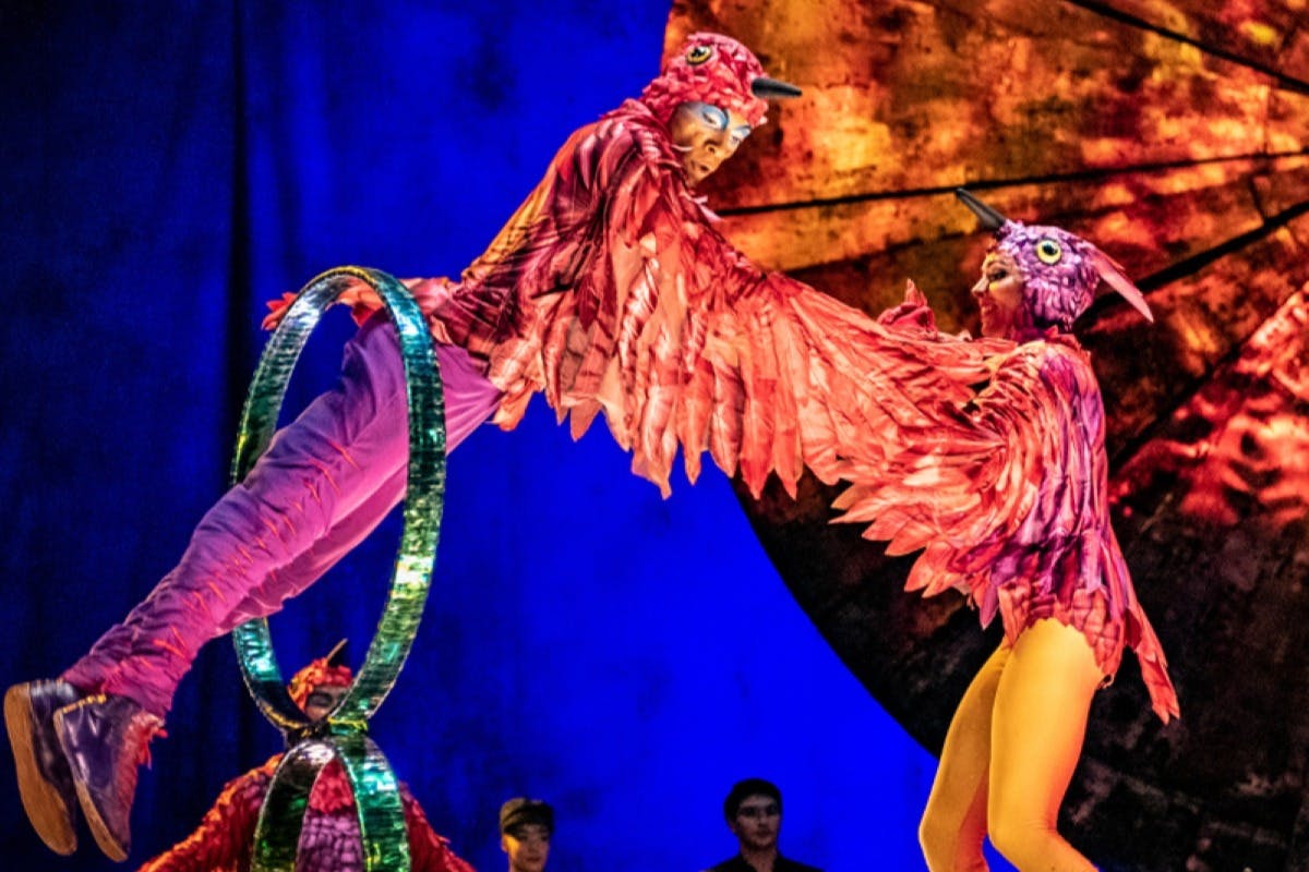 Cirque du Soleil LUZIA Miami: bilhete de entrada - Photo 2