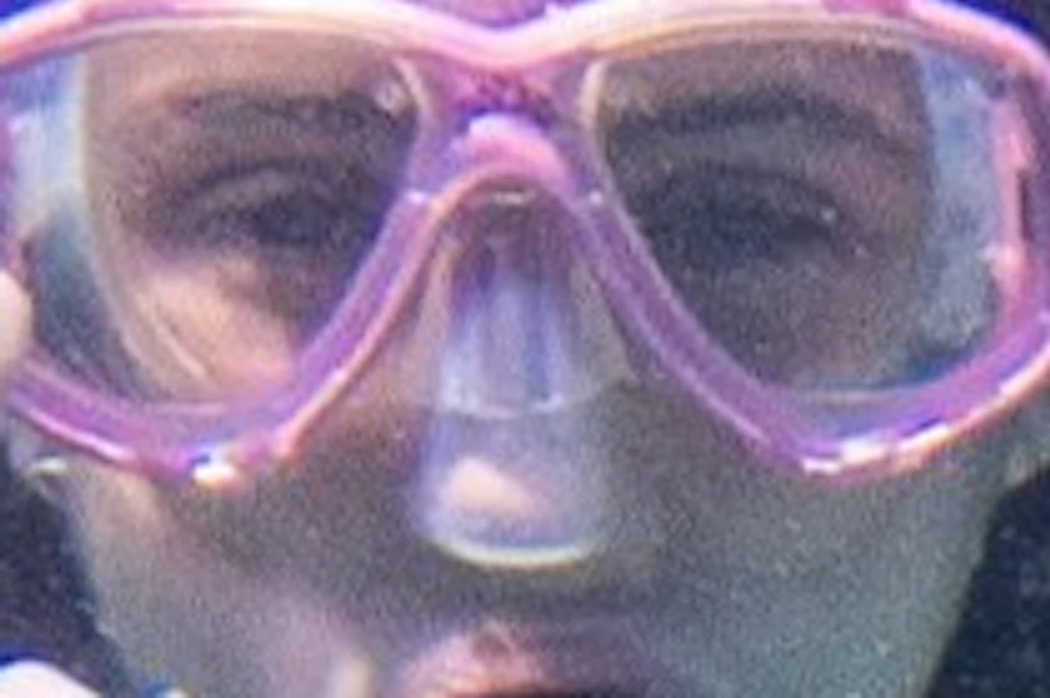 Divers underwater