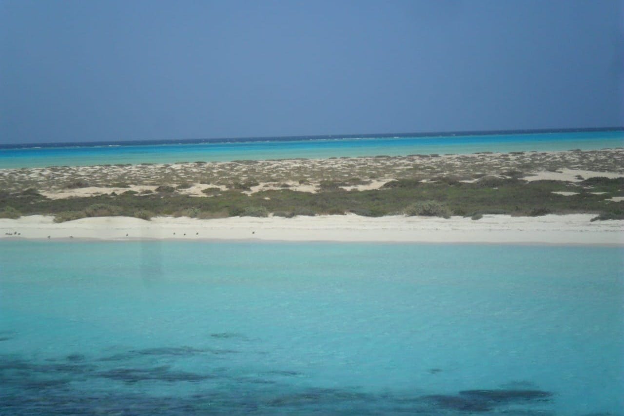 滨田岛Marsa Alam红树林之旅