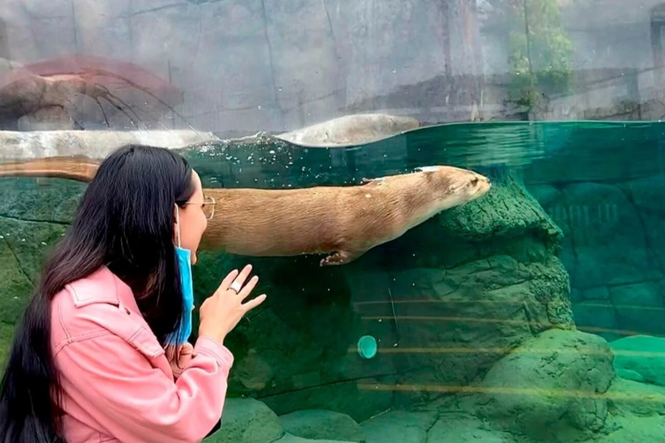 Michin Aquarium Puebla: Entry Ticket