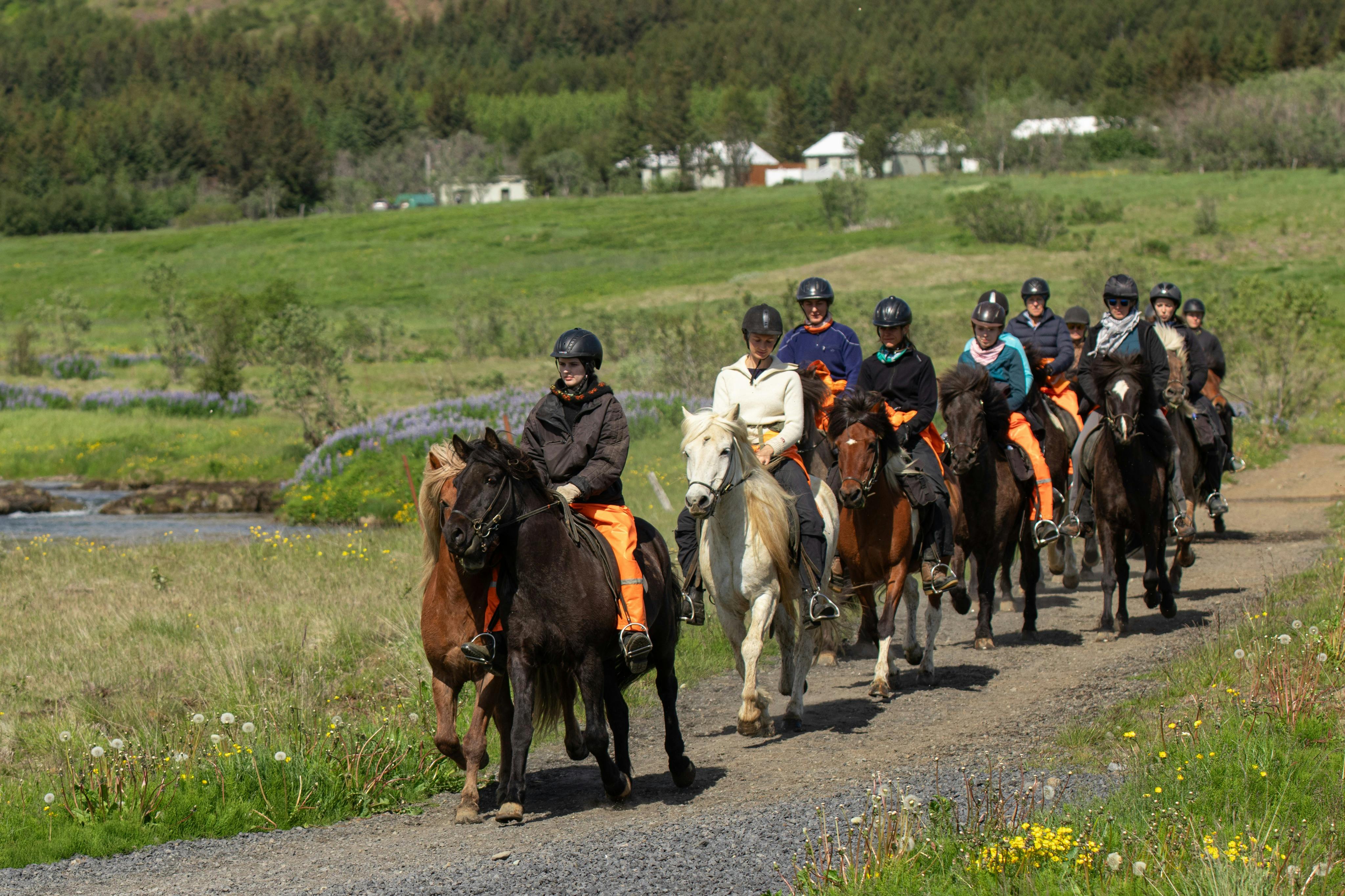 3A - Ängar och berg