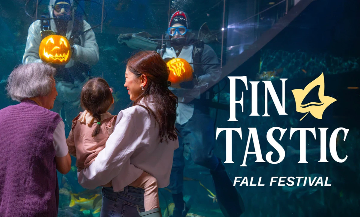 Fin-tastic Fall Festival, Vancouver Aquarium | Book Tickets