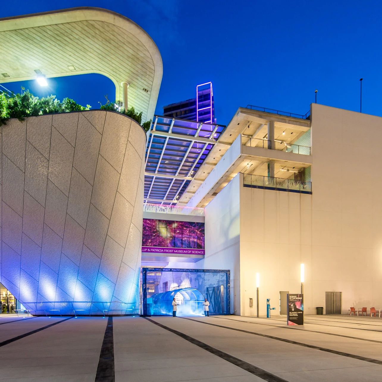 Phillip & Patricia Frost Museum of Science, Aquarium & Planetarium: Entry Ticket in Miami β Tiqets