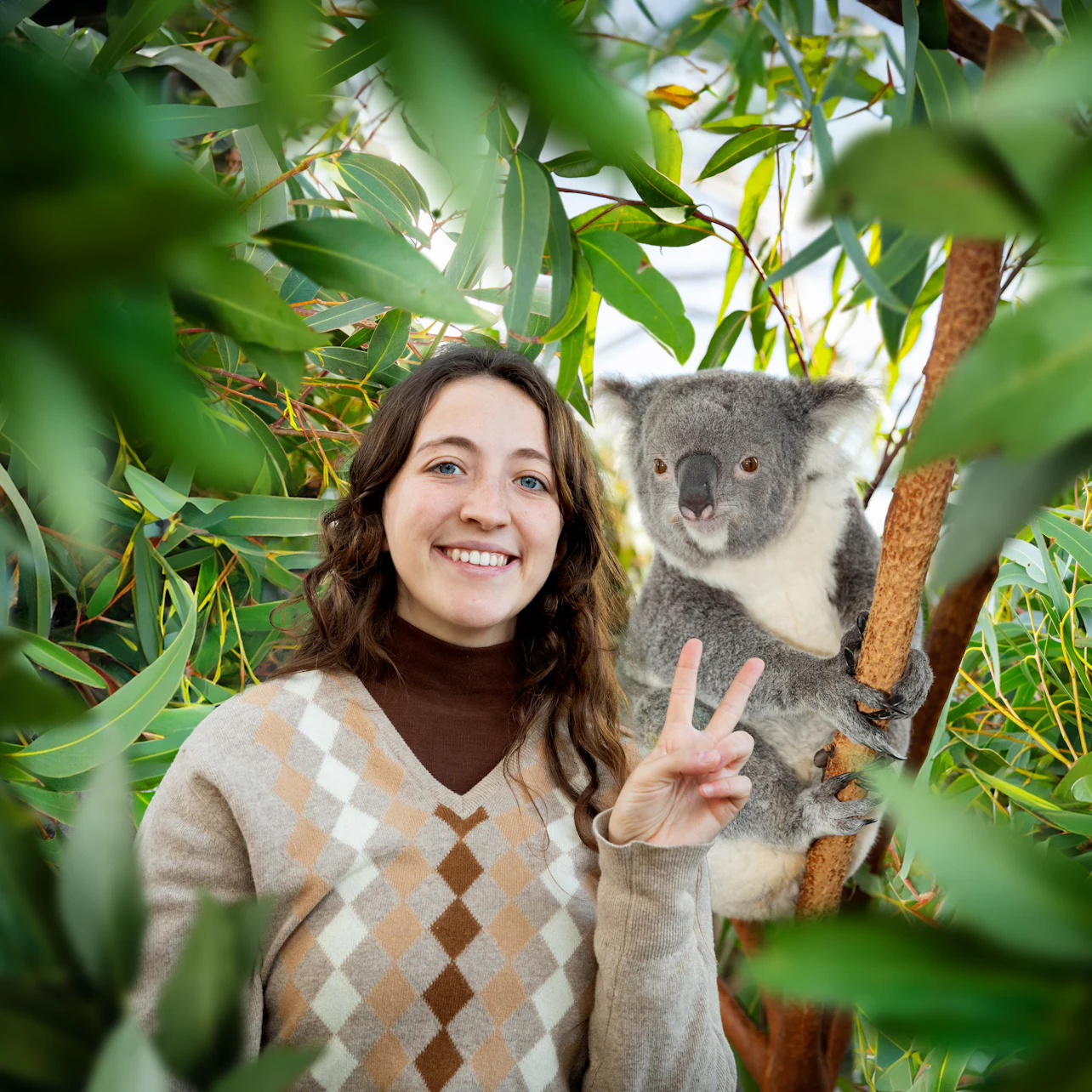 Sydney: Multi-Attraction Pass with 2,3 or 4 Attractions in Sydney β Tiqets