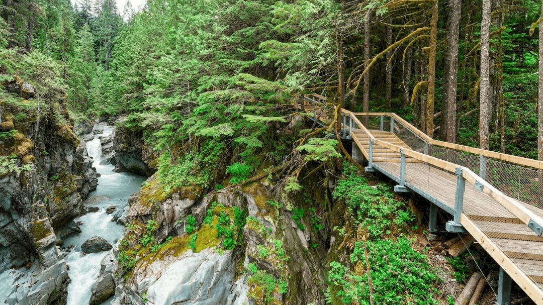 Ein Holzsteg führt durch einen dichten Wald oberhalb einer kleinen Flussschlucht mit moosbewachsenen Felsen und üppigem Grün.