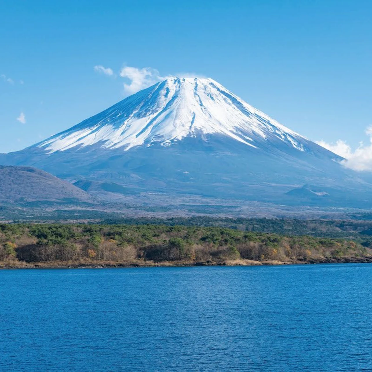 Mount Fuji & Arakura Sengen Shrine: Guided Day Tour from Tokyo + Lunch in Tokyo – Tiqets