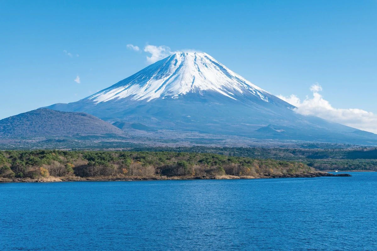 Mount Fuji & Arakura Sengen Shrine: Guided Day Tour from Tokyo + Lunch