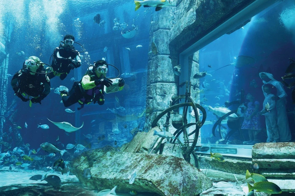 Dubai Aquarium & Underwater Zoo