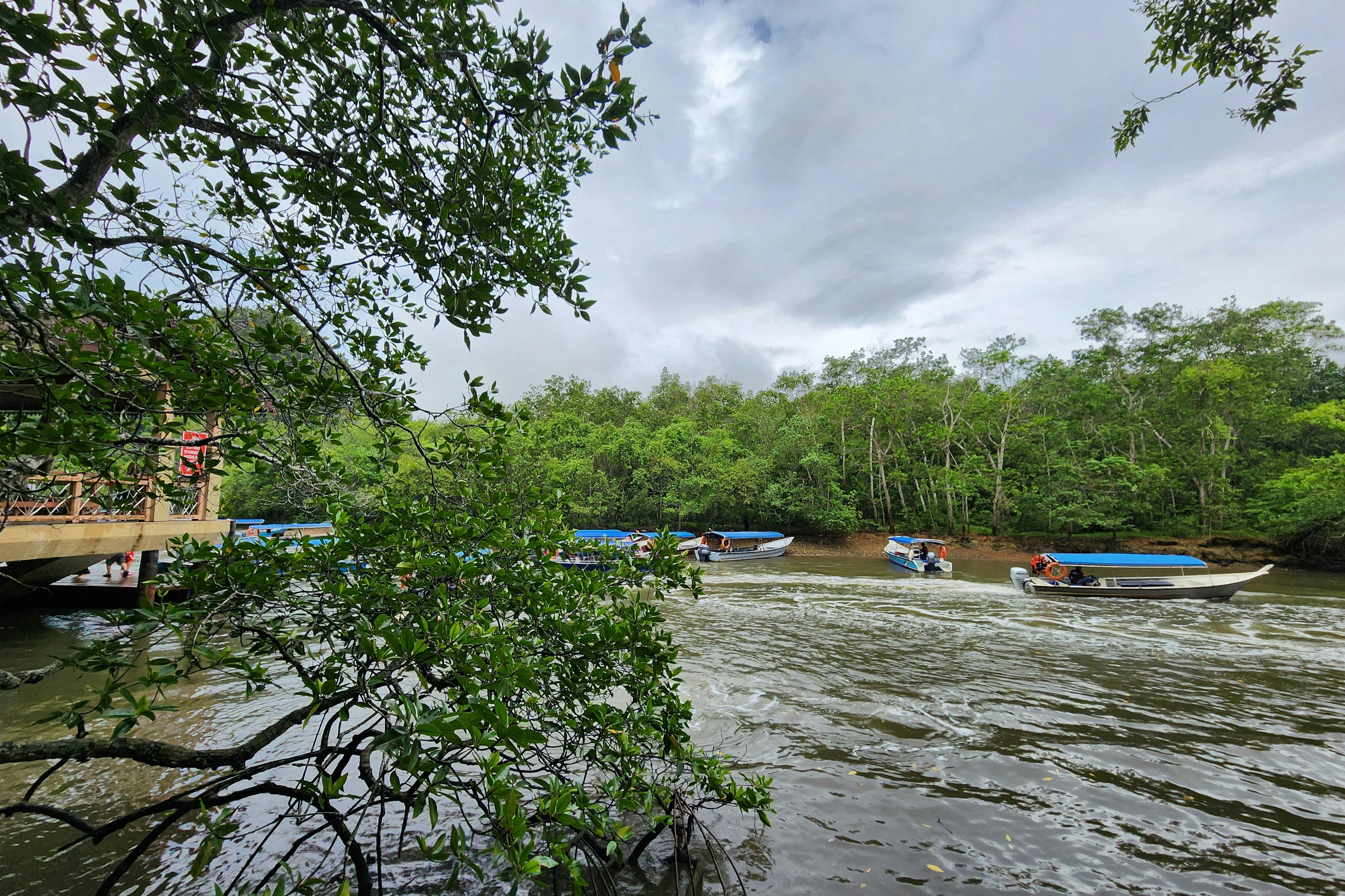 Netopýří jeskyně