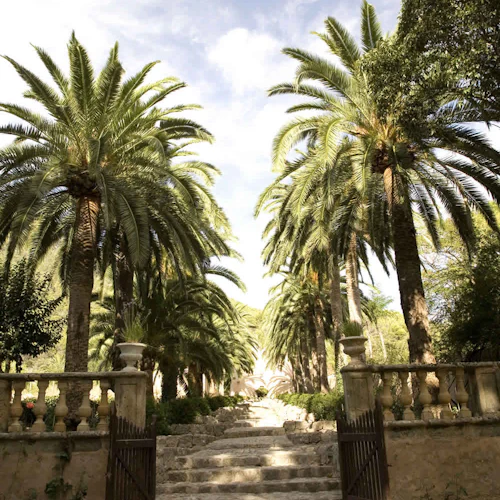 Jardines de Alfabia: Skip The Line Ticket - Photo 4