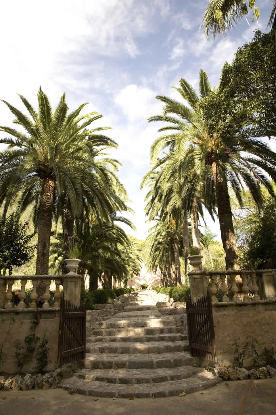 Pathway lined with tall palm trees, leading through an open gate entrance with stone steps and balustrades. Sunny weather.