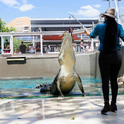 Crocosaurus Cove: Entry Ticket in destination