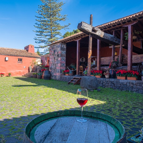 Museo del Vino de Tenerife: Visita y degustación