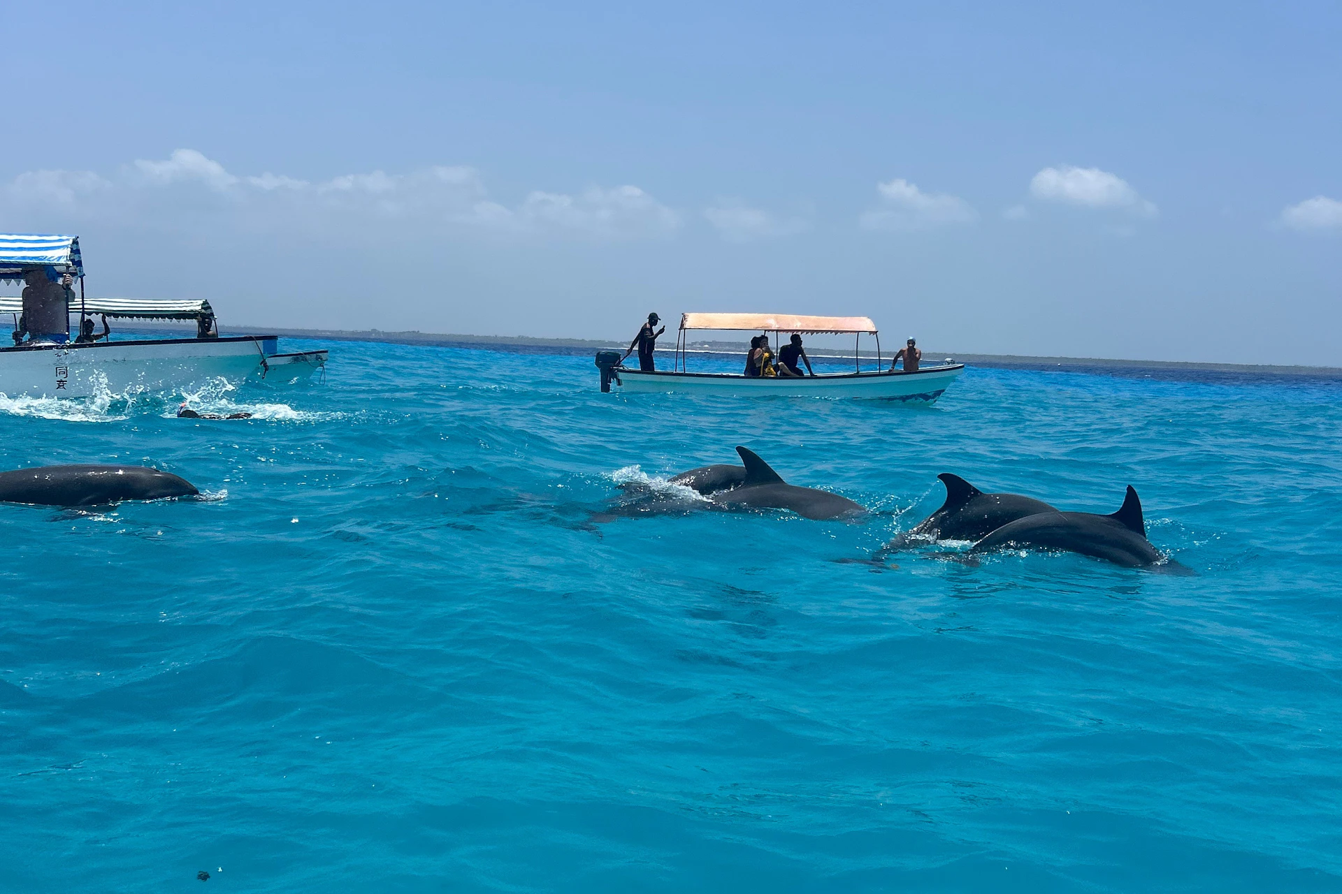 Several dolphins swim in clear blue water near small boats with people observing them under a sunny sky.