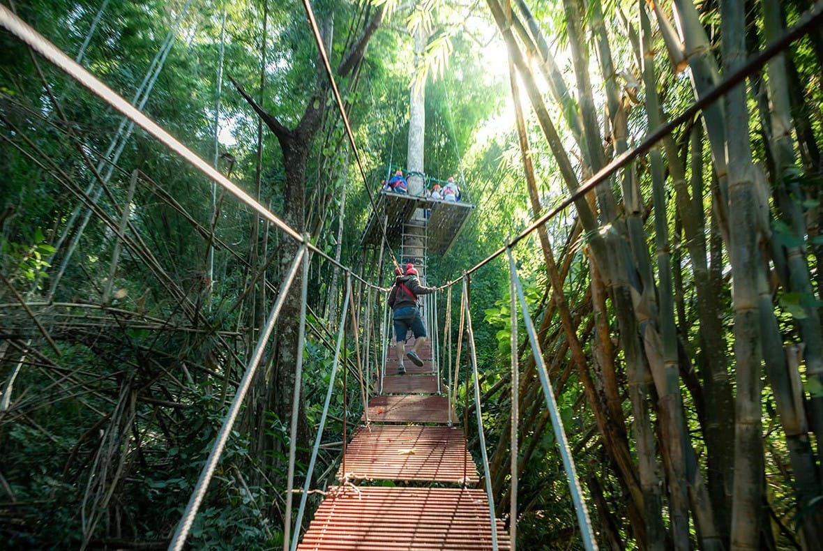 Une personne traversant un pont de corde dans une forêt vers une plate-forme avec d'autres personnes, entourée de verdure dense et de lumière du soleil.